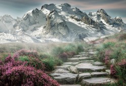 fgo伊莉雅绝版了吗？fgoae伊莉雅？