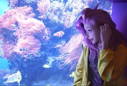 女神异闻录哪个版本最好玩？女神异闻录好玩吗值得入手吗？